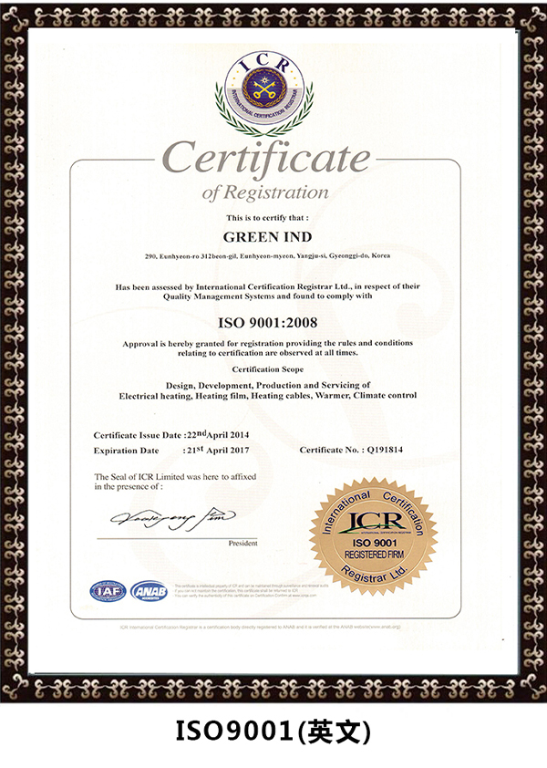 ISO9001(英文)